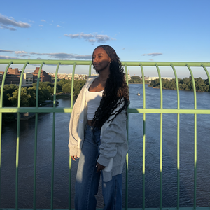 Fundraising Page: Meron Mesfin